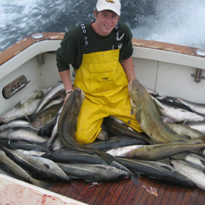 Gloucester fishing charters