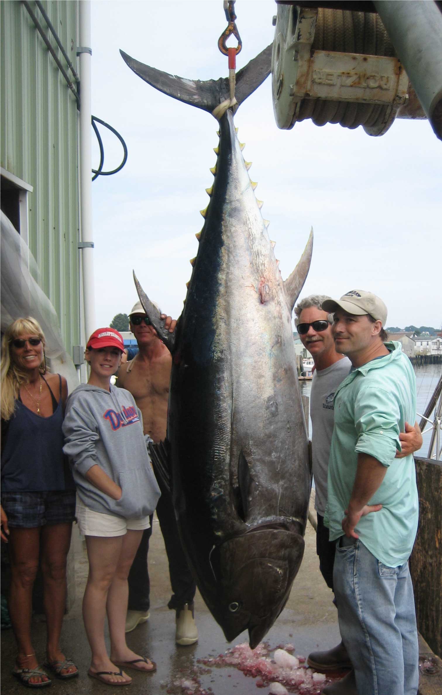 Bluefin Tuna Fishing Charters Gloucester - Cape Ann MA