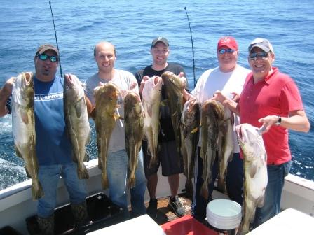 Cogswell Crew  – Humungous Cod Fishing Gloucester on Tuna Hunter Fishing Charters