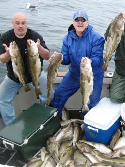 Bubba's Boys Limits Out on Cod Fishing Charter