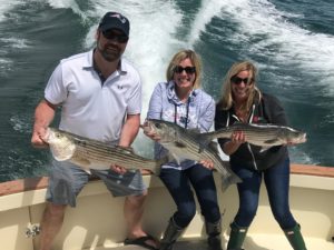 Striped Bass on Tuna Hunter Fishing Charters