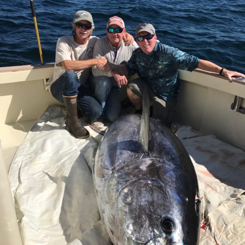 98in Bluefin on Tuna Hunter