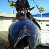 Michael Orr Bucket List Bluefin Tuna on Tuna Hunter