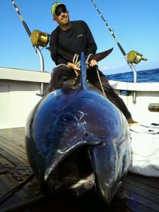 Michael Orr Bluefin Tuna on Tuna Hunter