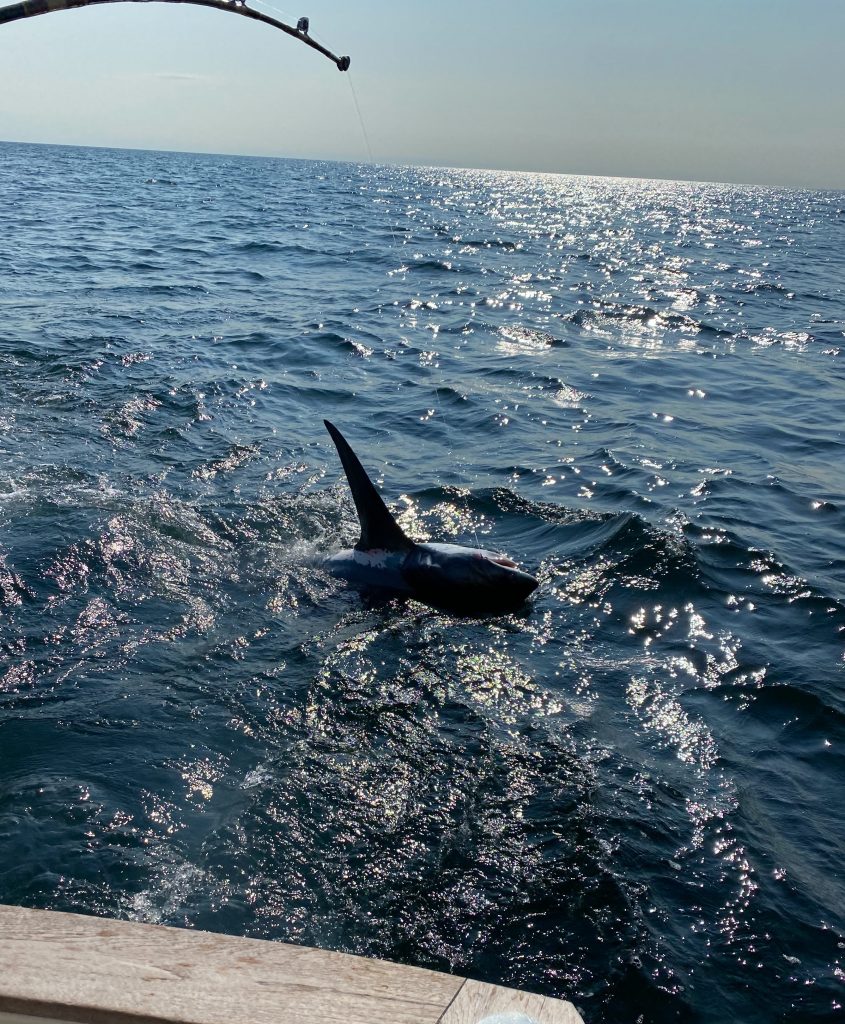 Reagan Family Thresher Shark on Tuna Hunter Fishing Charters
