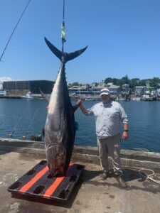 Giant Bluefin Tuna caught aboard Tuna Hunter