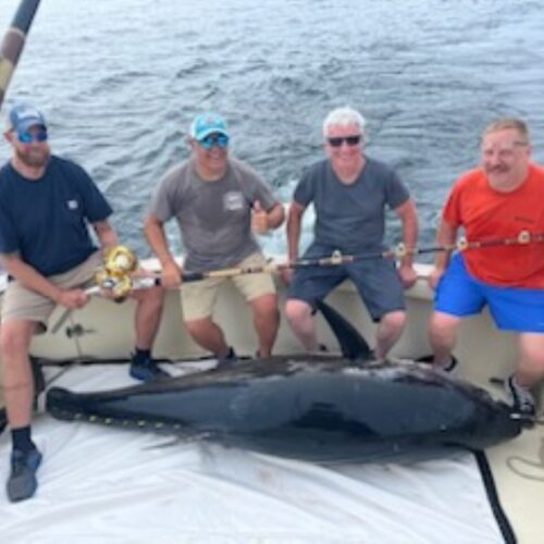 Giant Bluefin tuna caught aboard Tuna Hunter Fishing Charters - Great team!